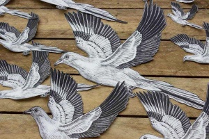 birds