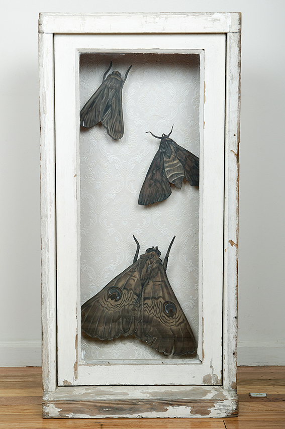 baby-guerrilla_-_sculptures_-_moths-sculpture